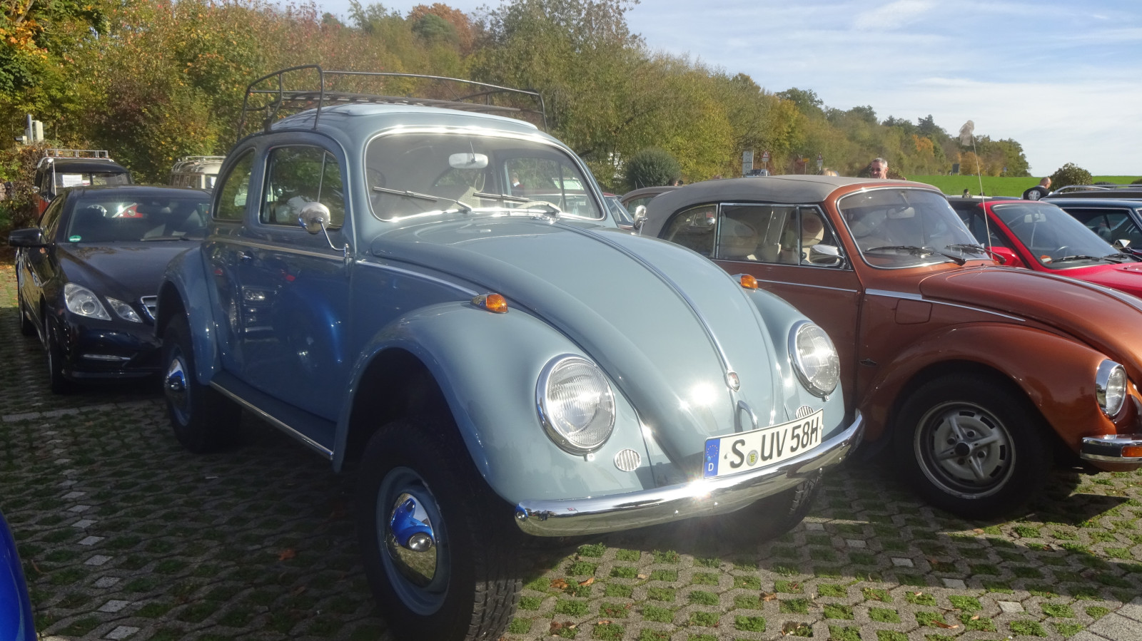 vw-kaefer-auf-stelzen