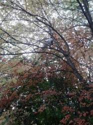 Tuepf auf der Pirsch