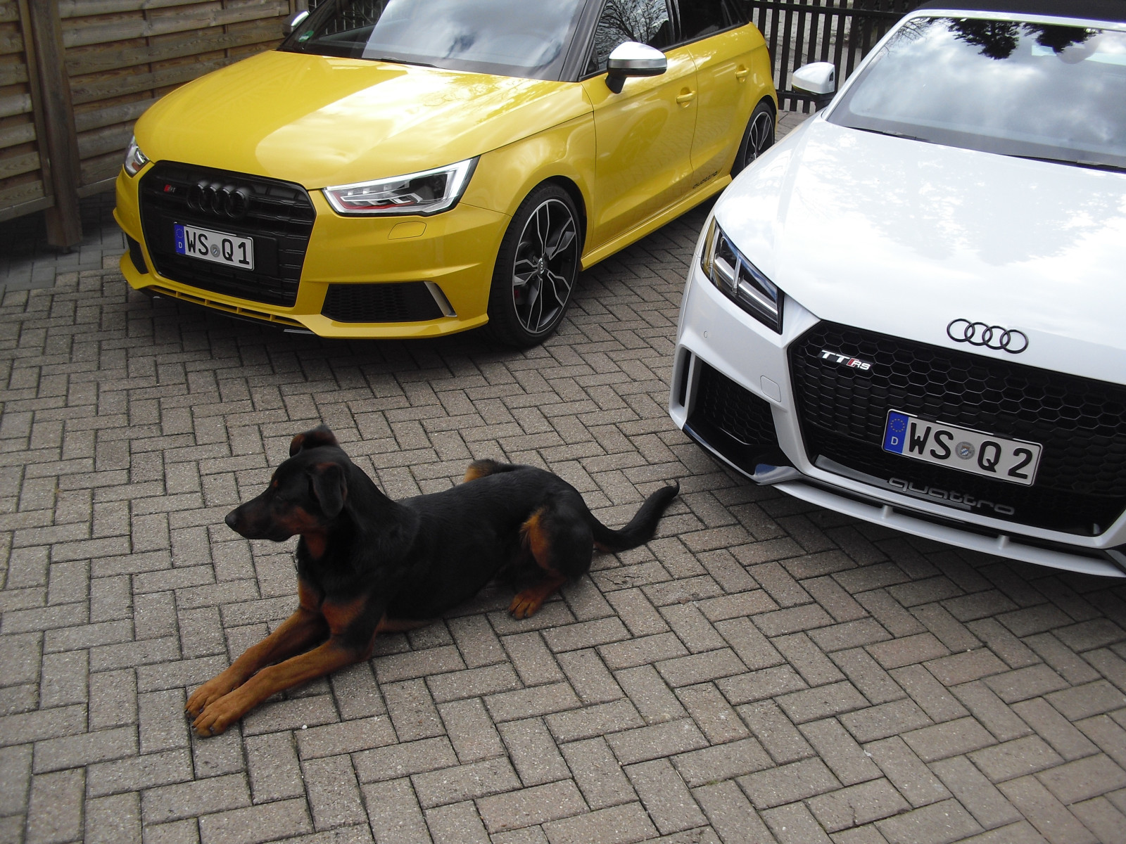 Sammelthread Audi TT/TTS/TTRS Bilder