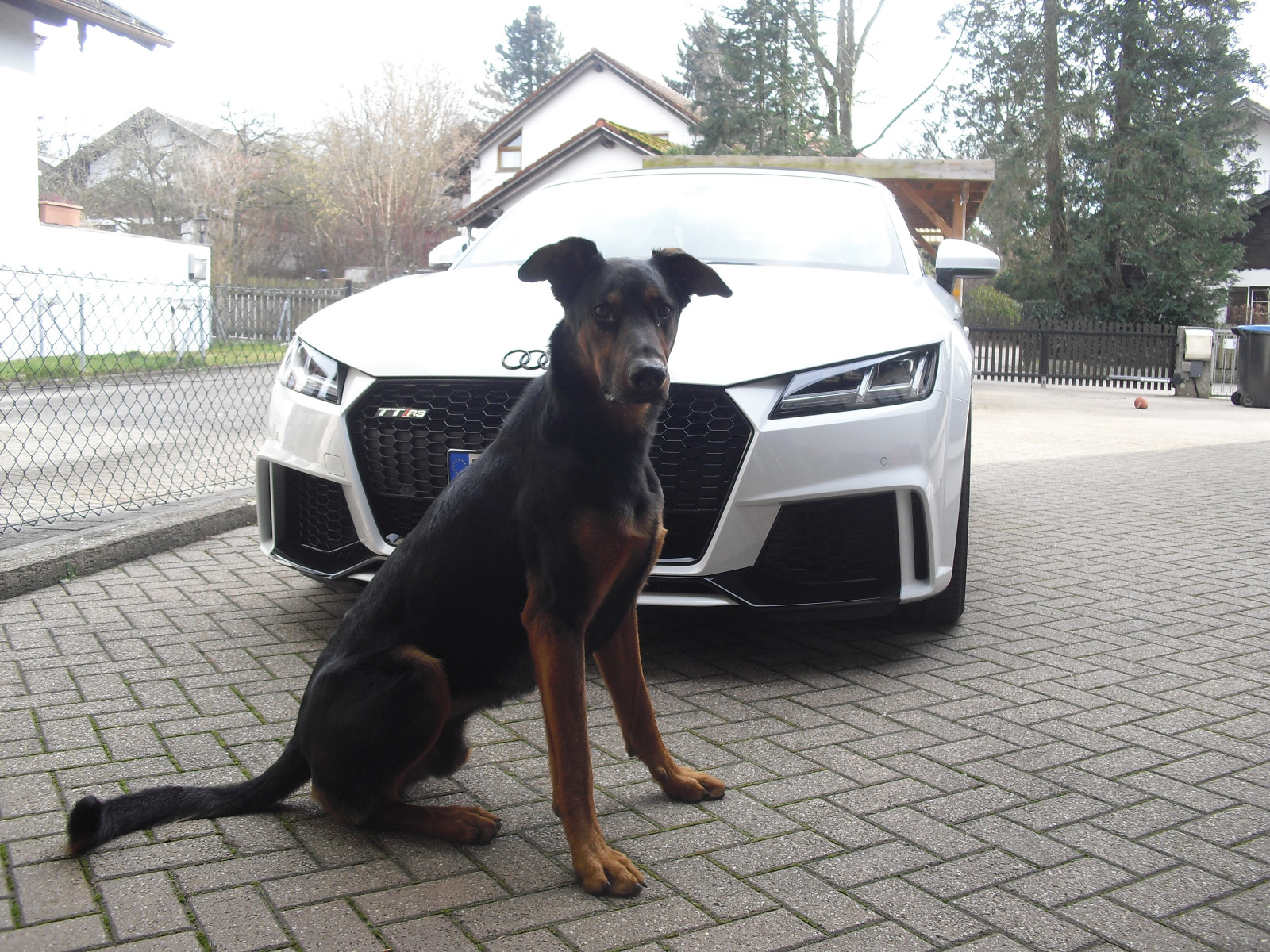 Sammelthread Audi TT/TTS/TTRS Bilder