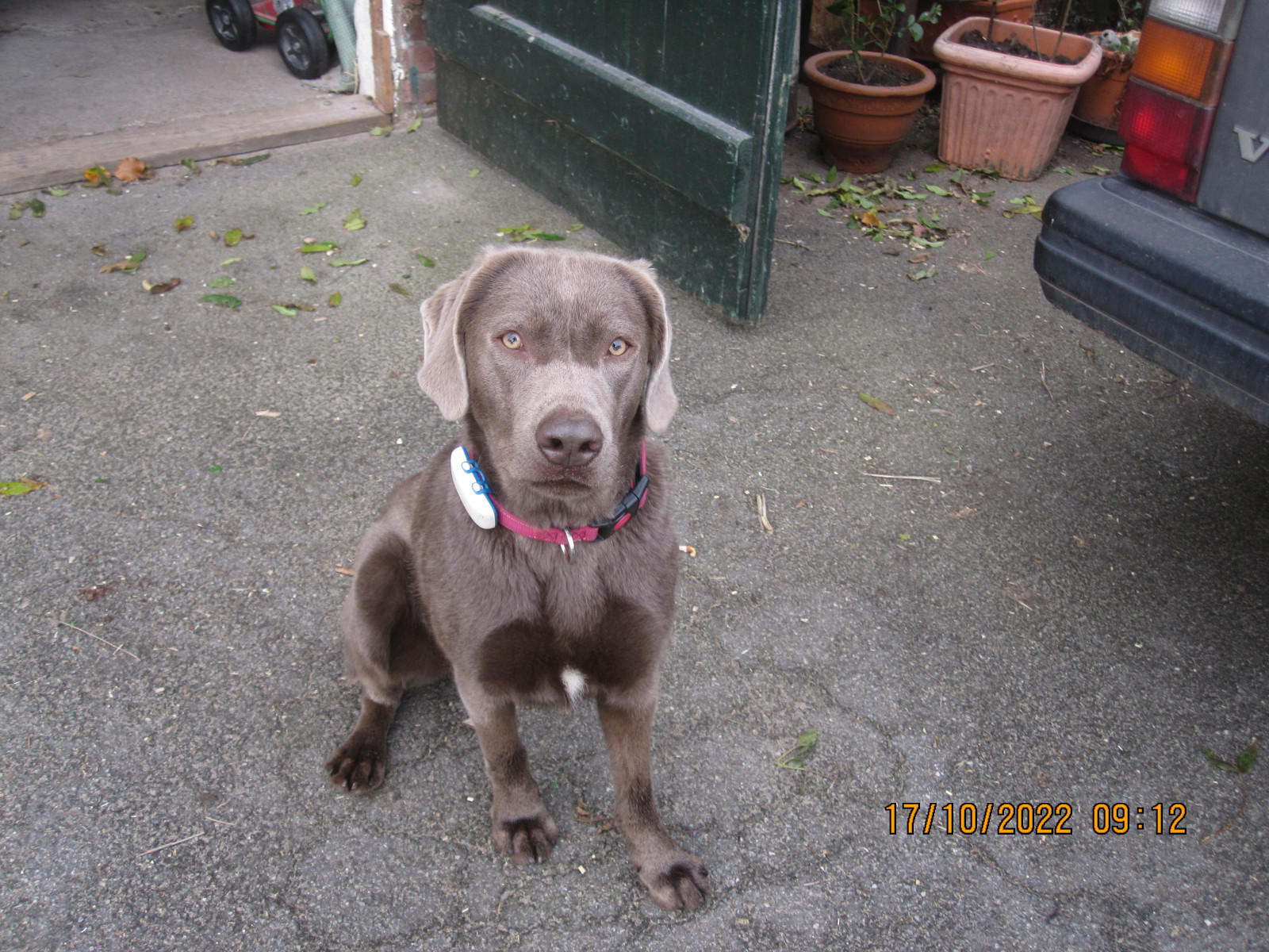 Der Schrottplatz - Spiegelsymmetrisch des Showrooms