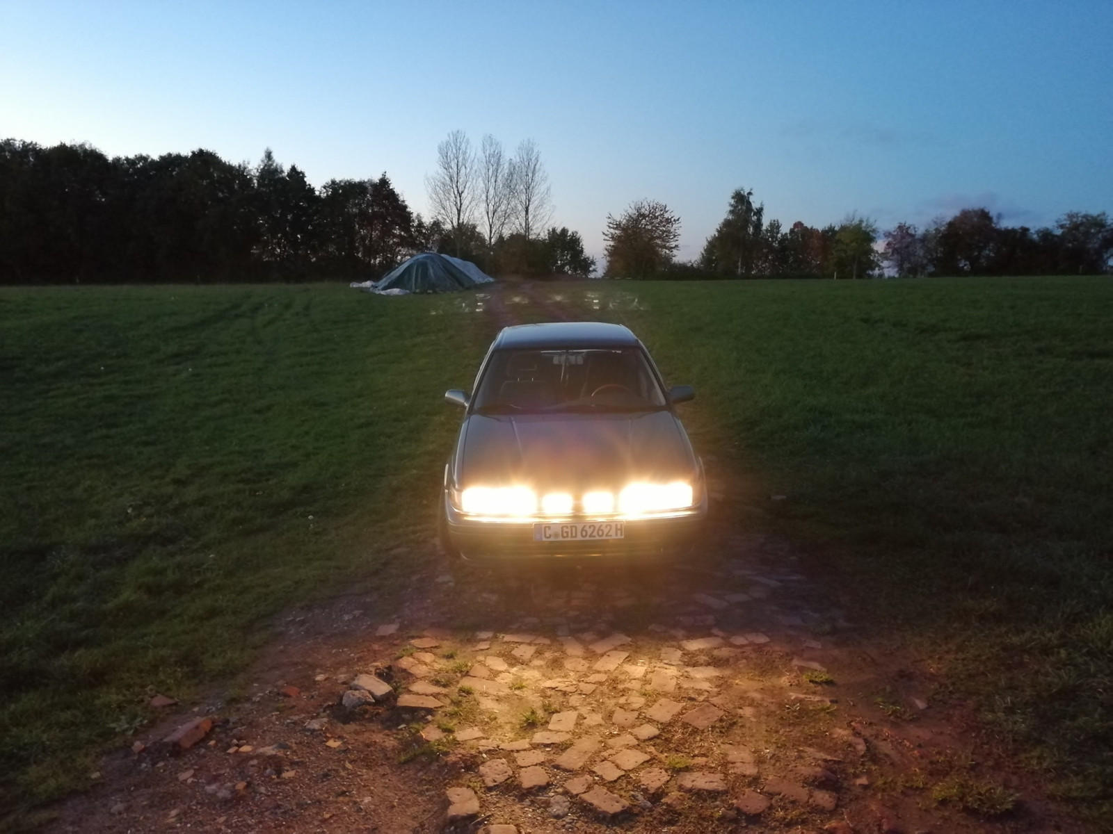 311146602-5819368668095891-3898325992611573807-n