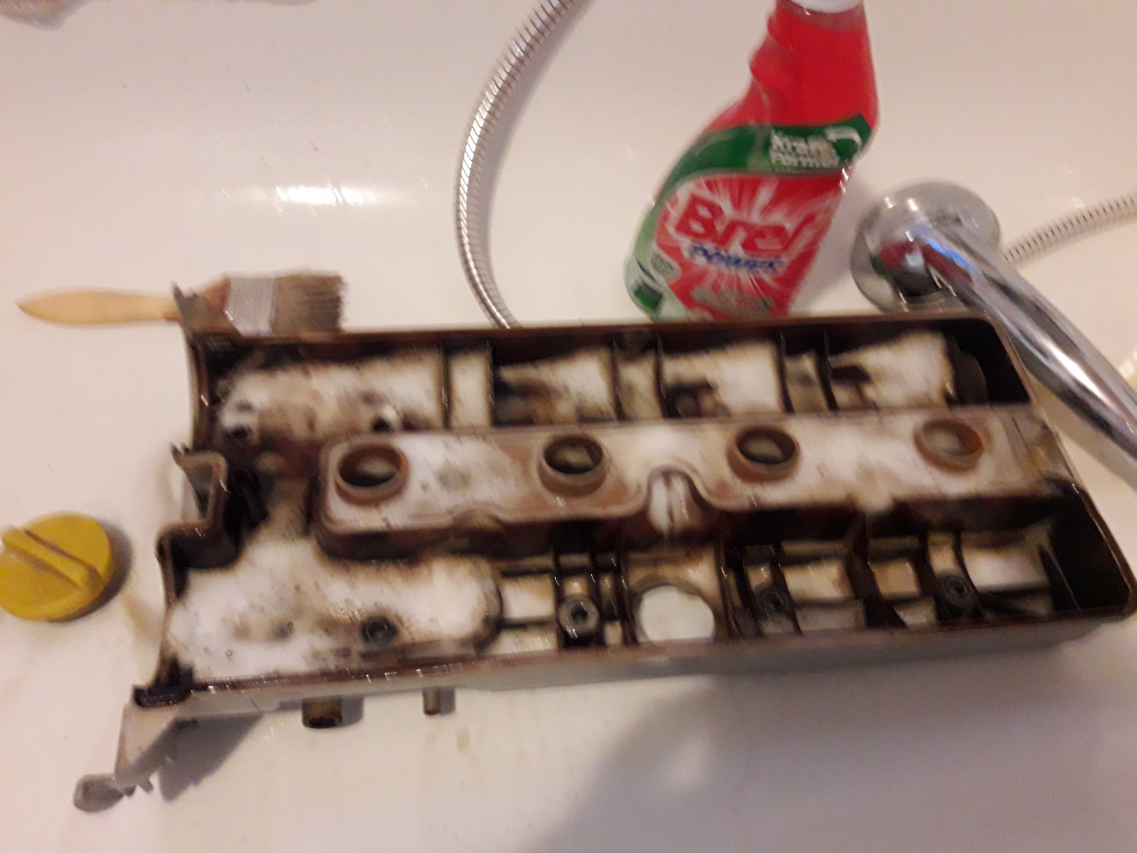 Was habt Ihr heute alles Gutes für Euren Omega & Senator getan?