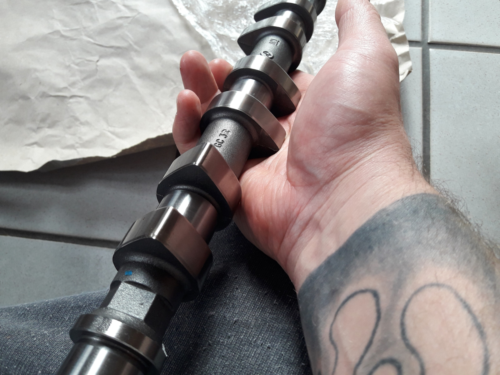 Was habt Ihr heute alles Gutes für Euren Omega & Senator getan?