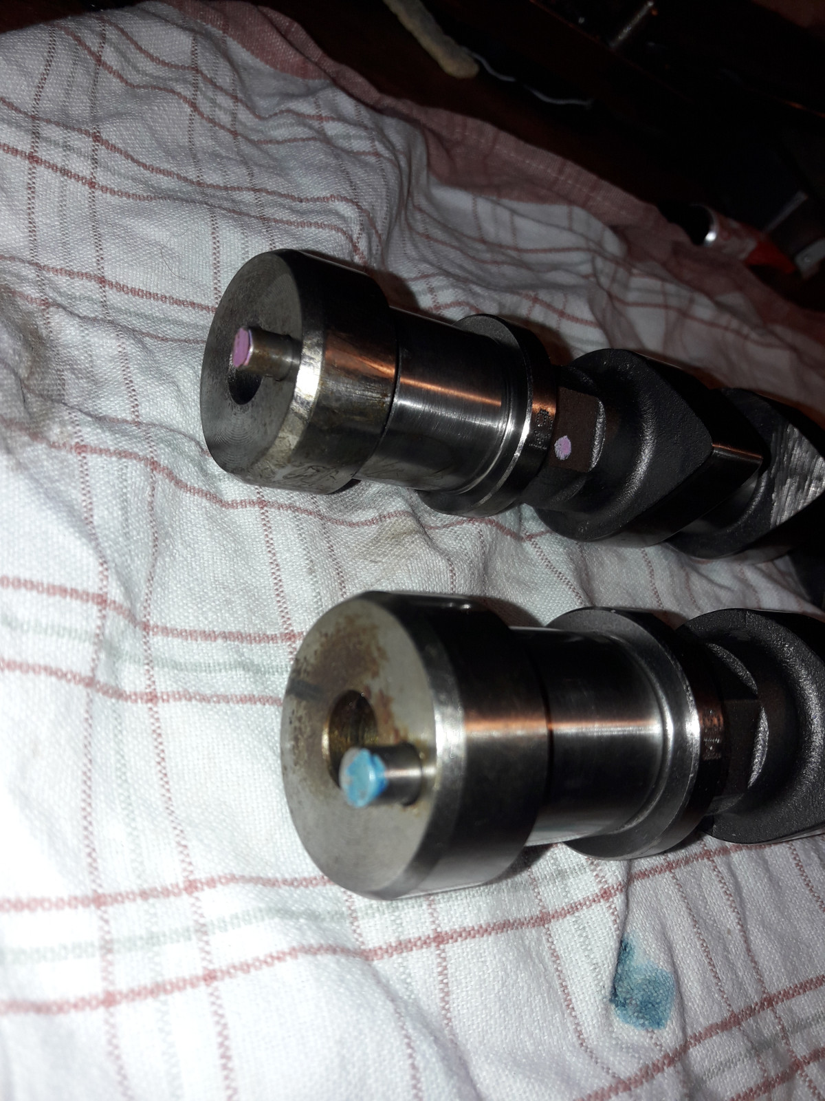 Was habt Ihr heute alles Gutes für Euren Omega & Senator getan?