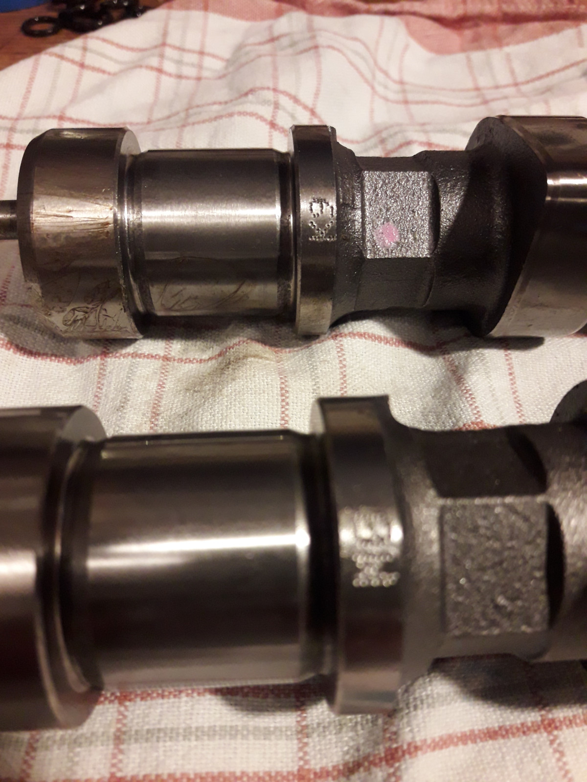 Was habt Ihr heute alles Gutes für Euren Omega & Senator getan?