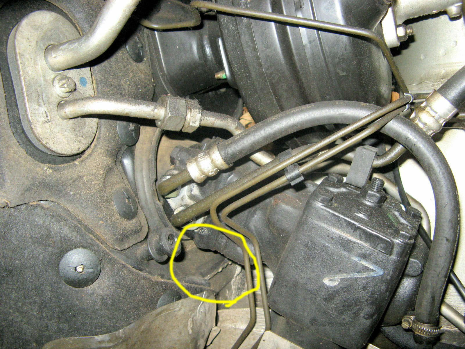 Was habt Ihr heute alles Gutes für Euren Omega & Senator getan?