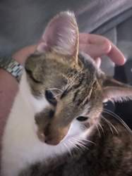 65c2f6e0-9a90-44b9-98be-adc718cf36ec