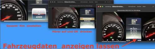 Fahrzeugdaten aufrufen