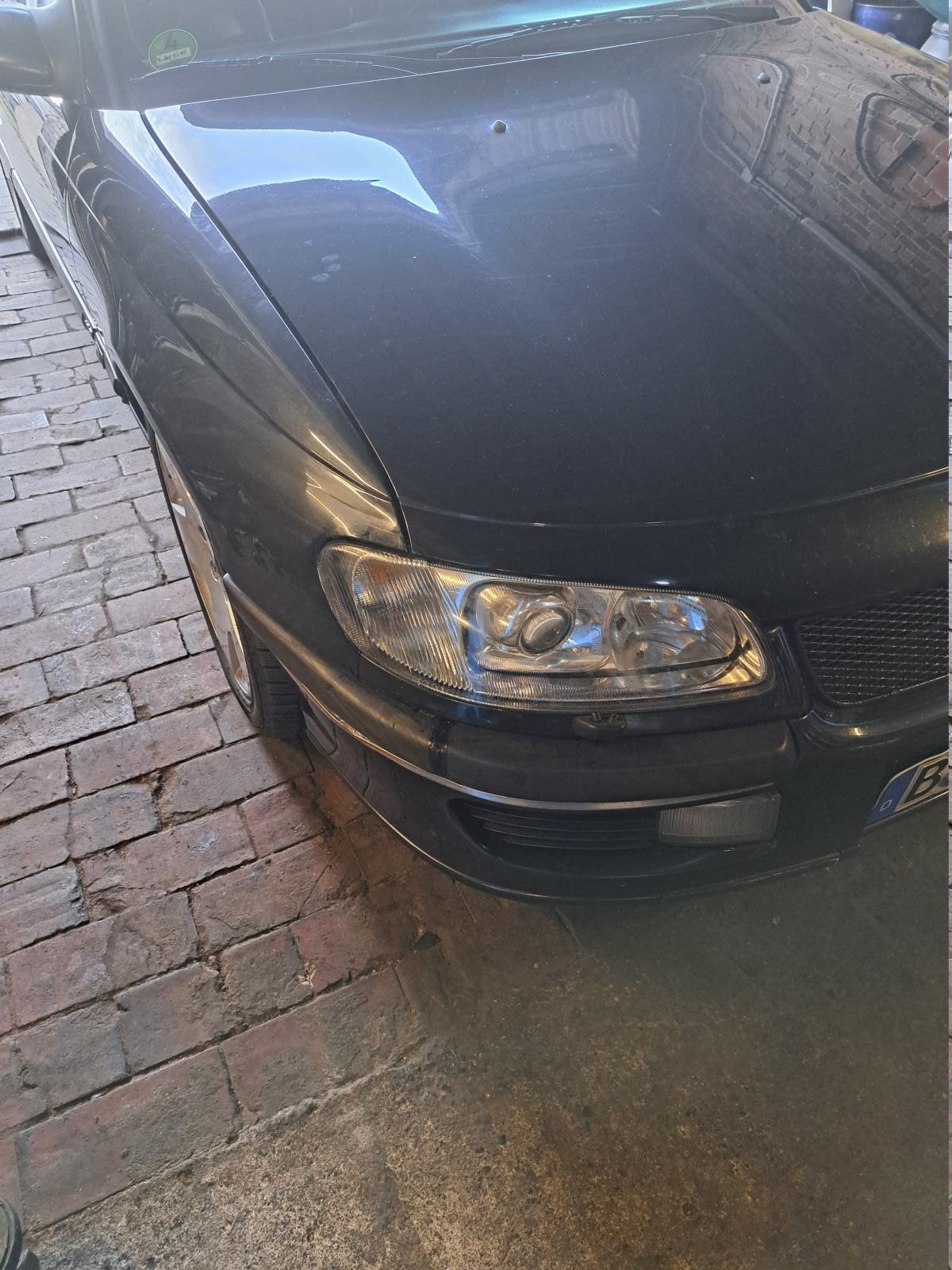 Was habt Ihr heute alles Gutes für Euren Omega & Senator getan?