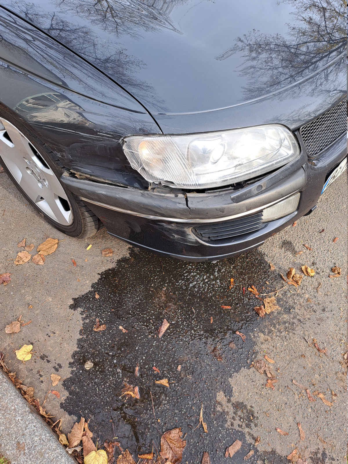 Was habt Ihr heute alles Gutes für Euren Omega & Senator getan?