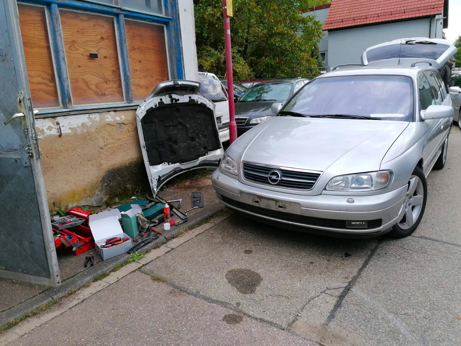 Was habt Ihr heute alles Gutes für Euren Omega & Senator getan?