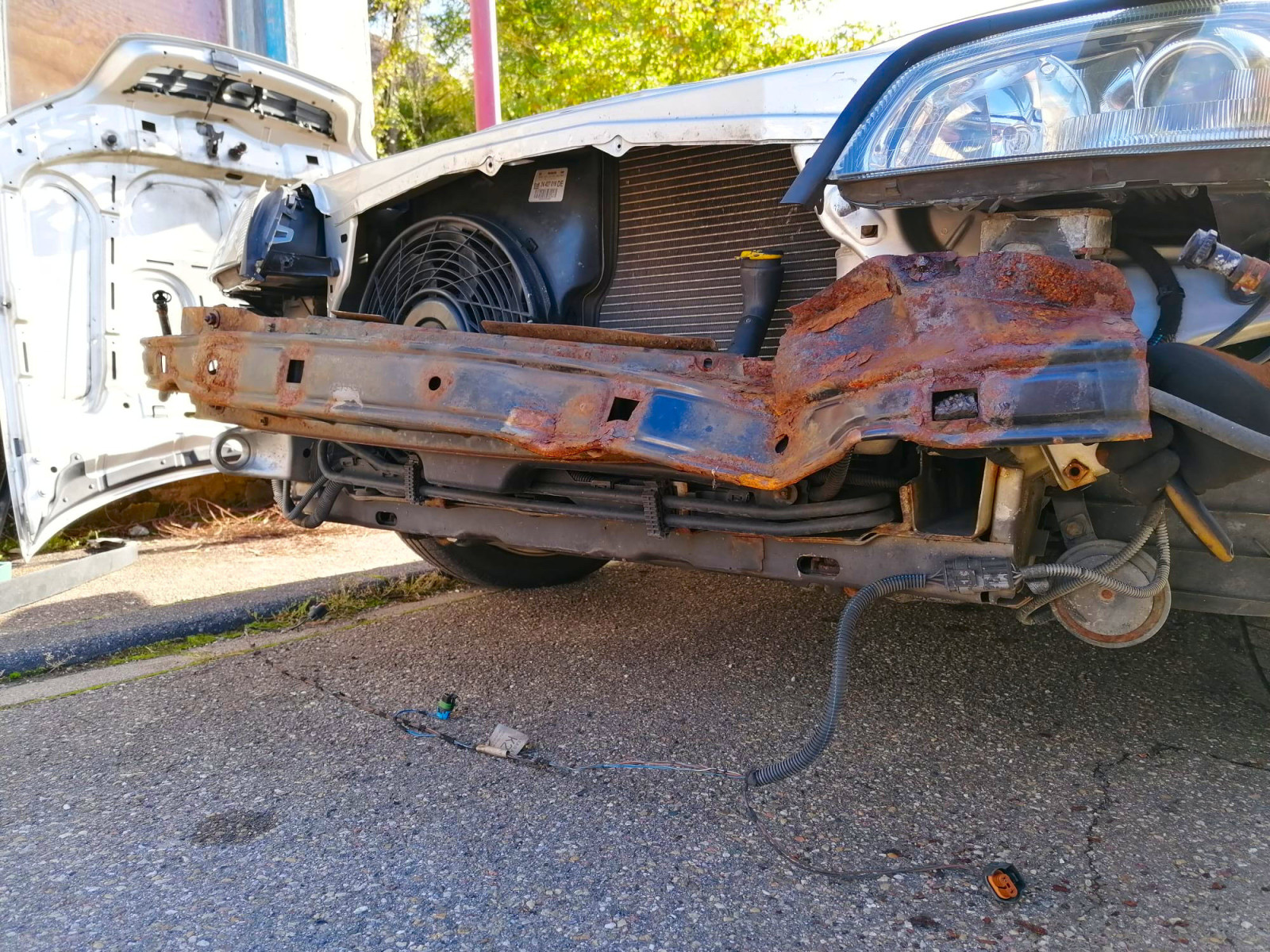 Was habt Ihr heute alles Gutes für Euren Omega & Senator getan?