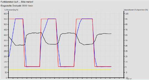 G30 Drallklappentest