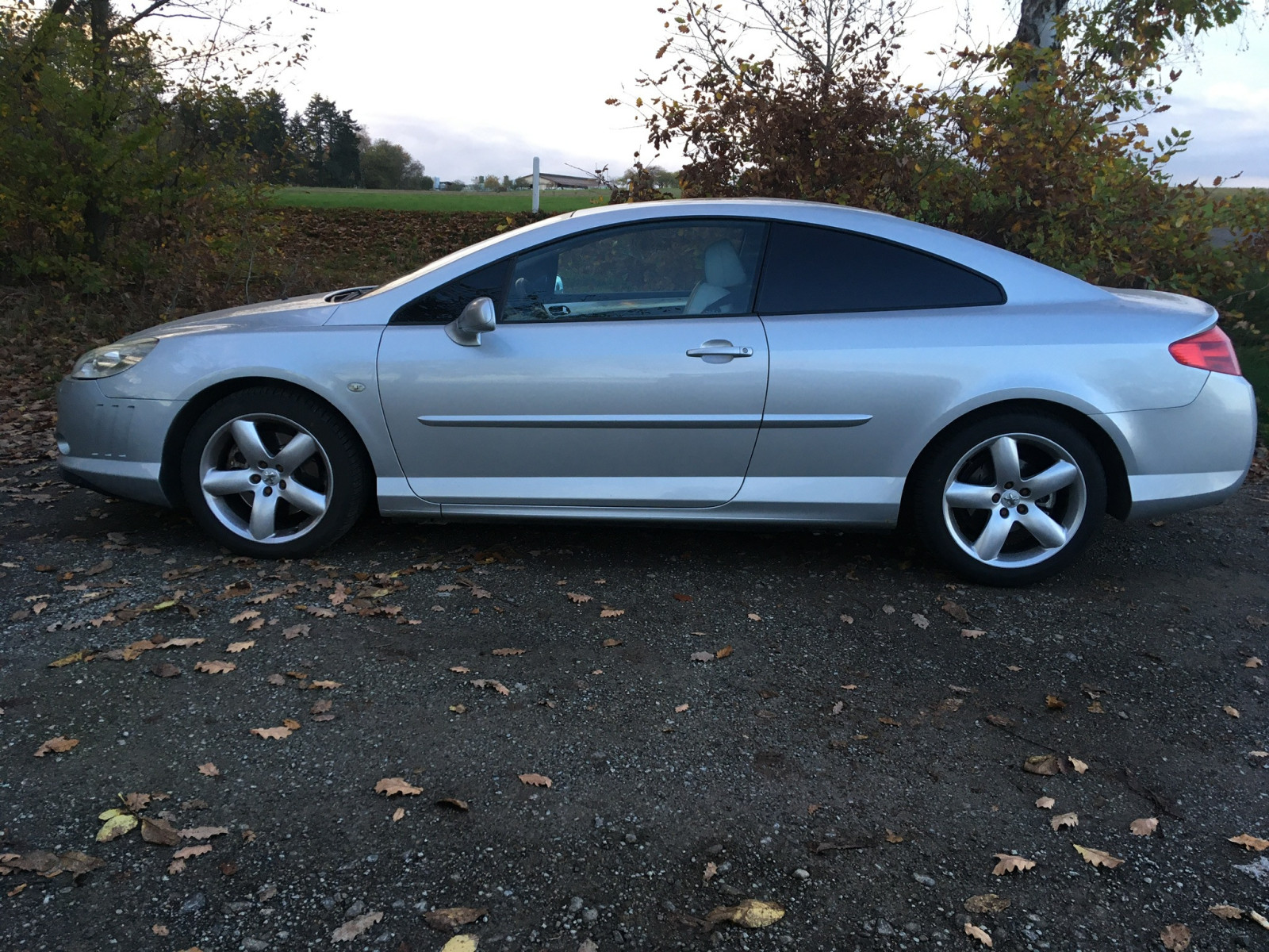 Das 407 Coupé ist mit über 4,80 Meter ein großes Auto Lack