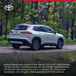 311294867-23851818849920009-2988473779479892403-n