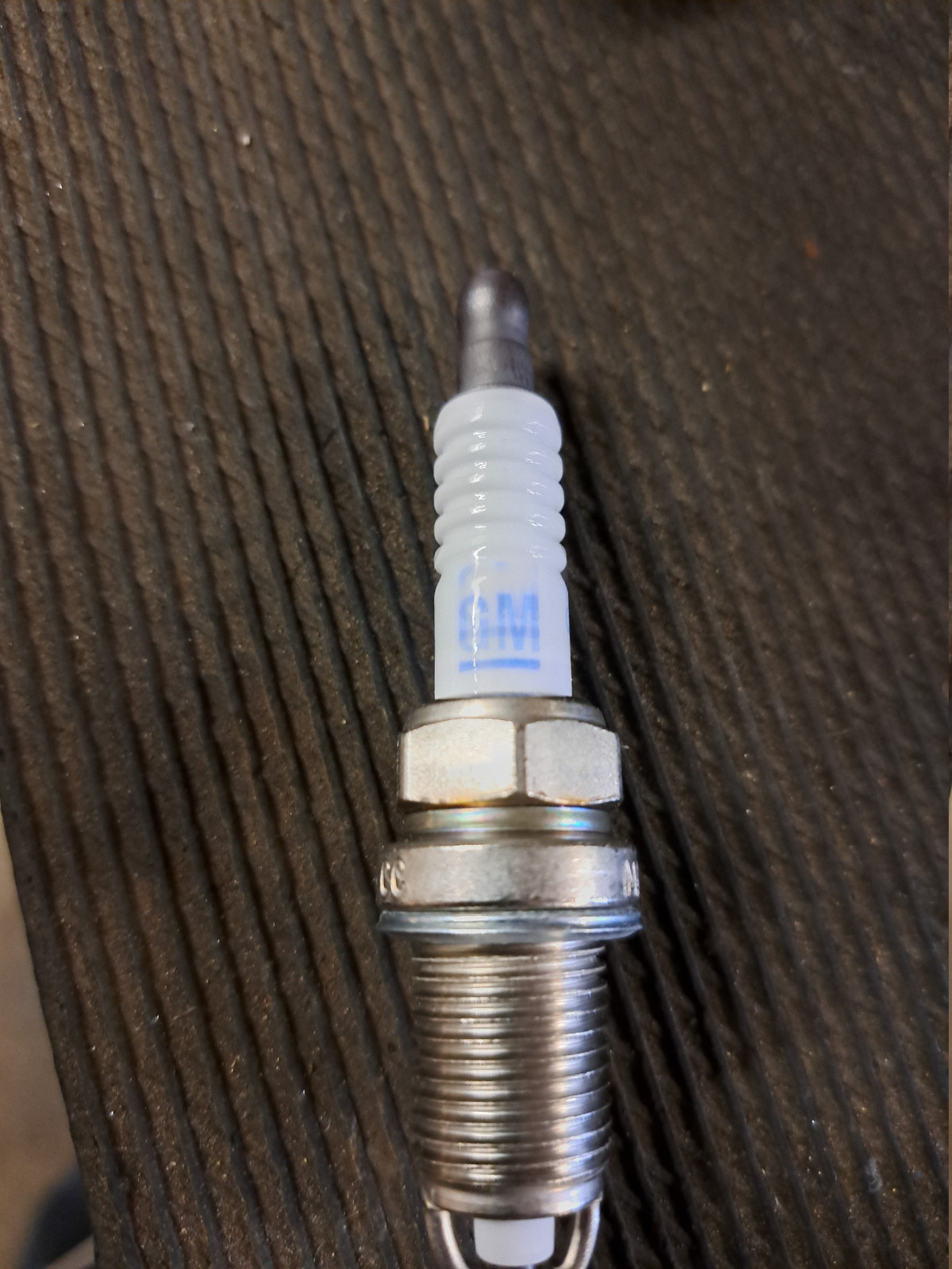 Was habt Ihr heute alles Gutes für Euren Omega & Senator getan?