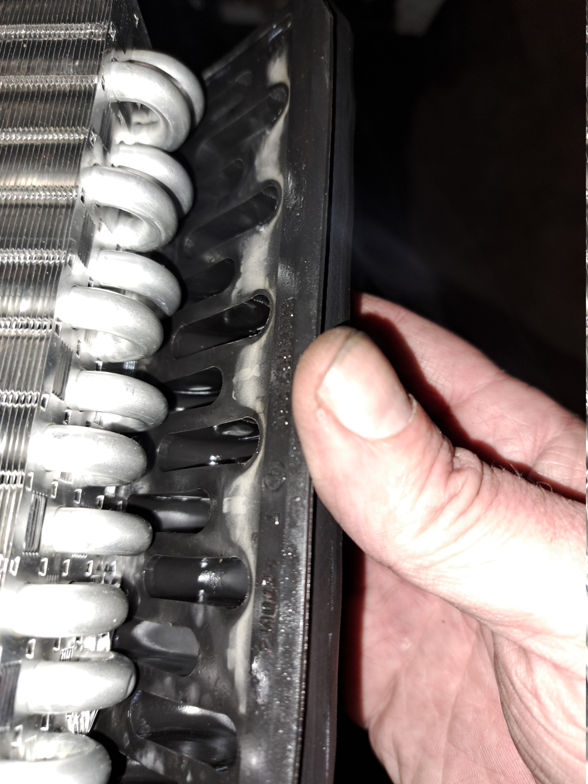 Was habt Ihr heute alles Gutes für Euren Omega & Senator getan?