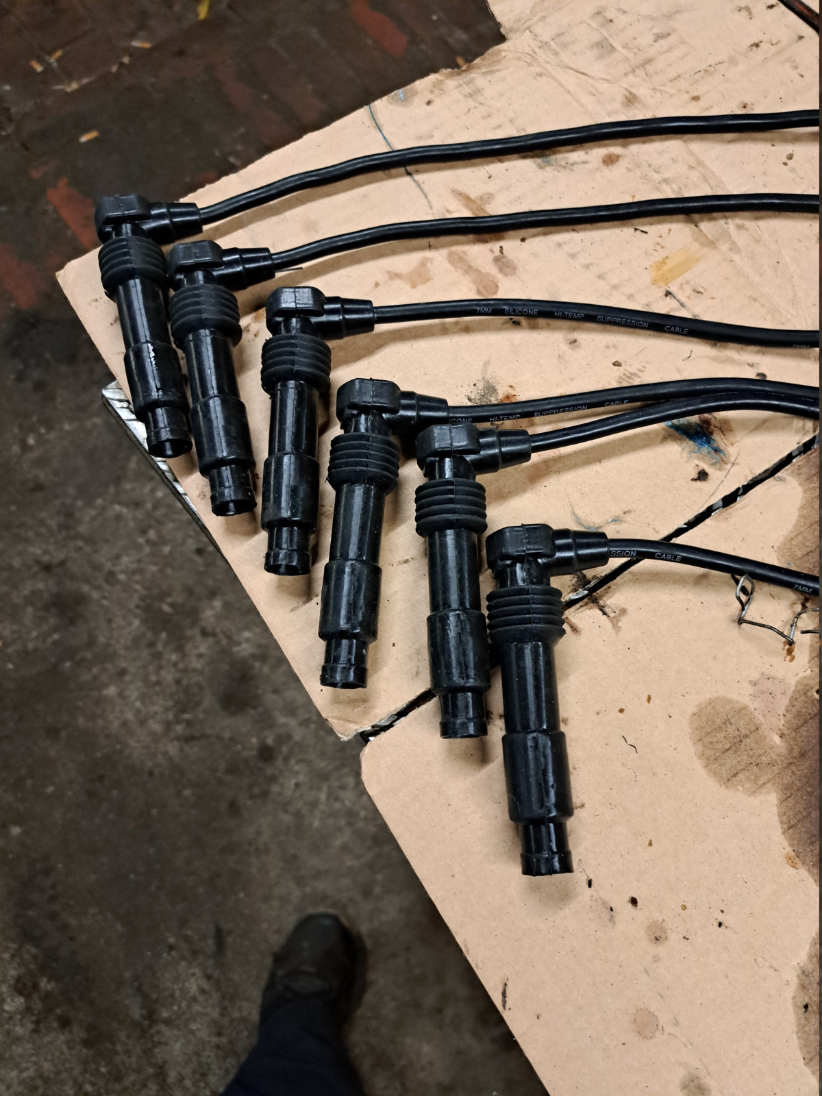 Was habt Ihr heute alles Gutes für Euren Omega & Senator getan?