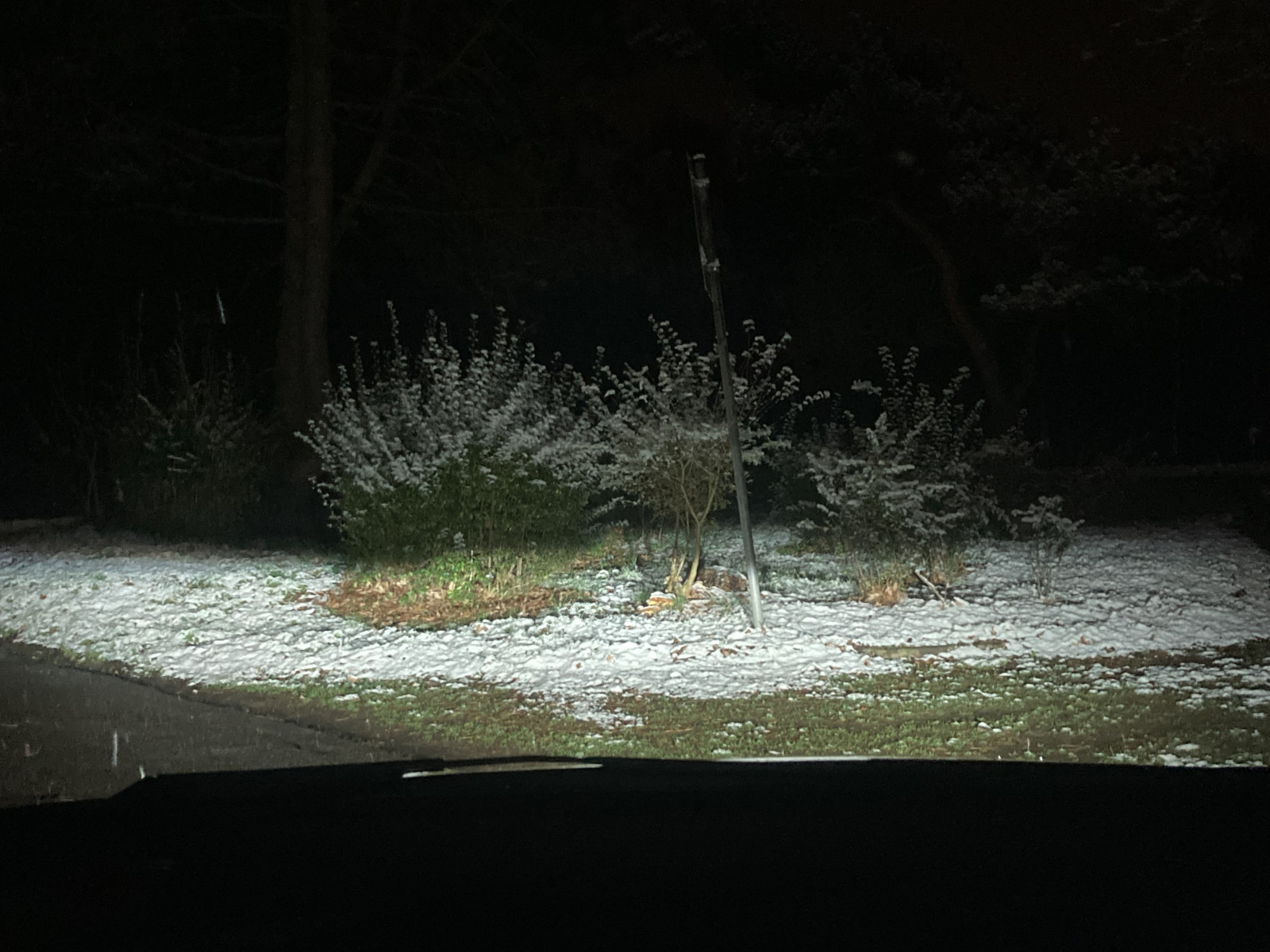 52bb10ff-3f56-4d66-bd52-34292605d2ab