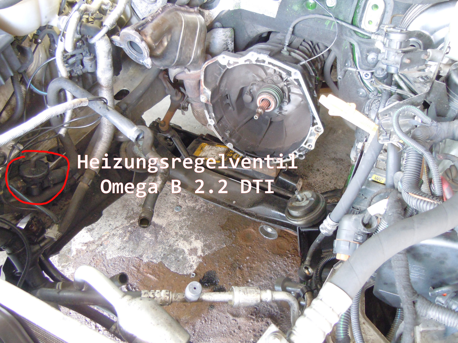 Omega B - Y26SE - Hydrostößel klappern