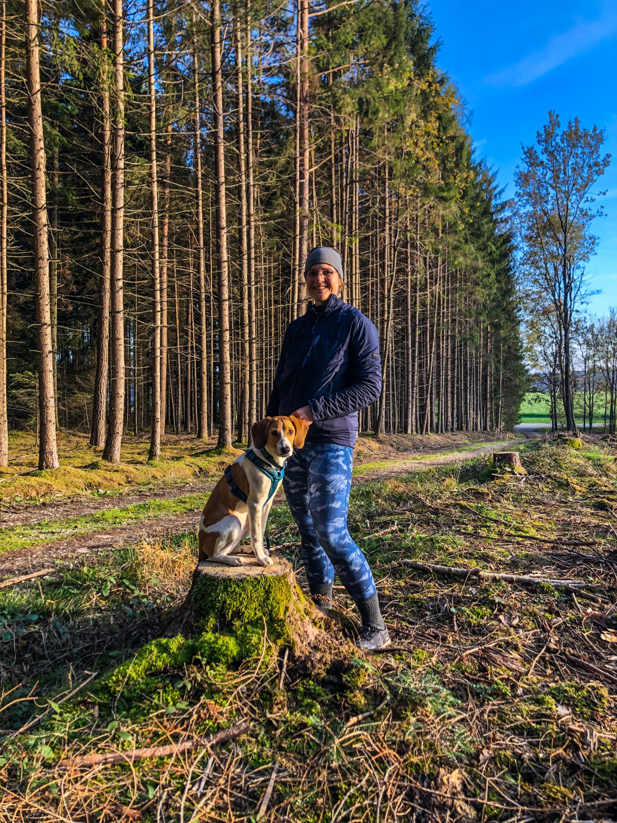 Gebrauchtwagenkauf was ist eure Meinung dazu?