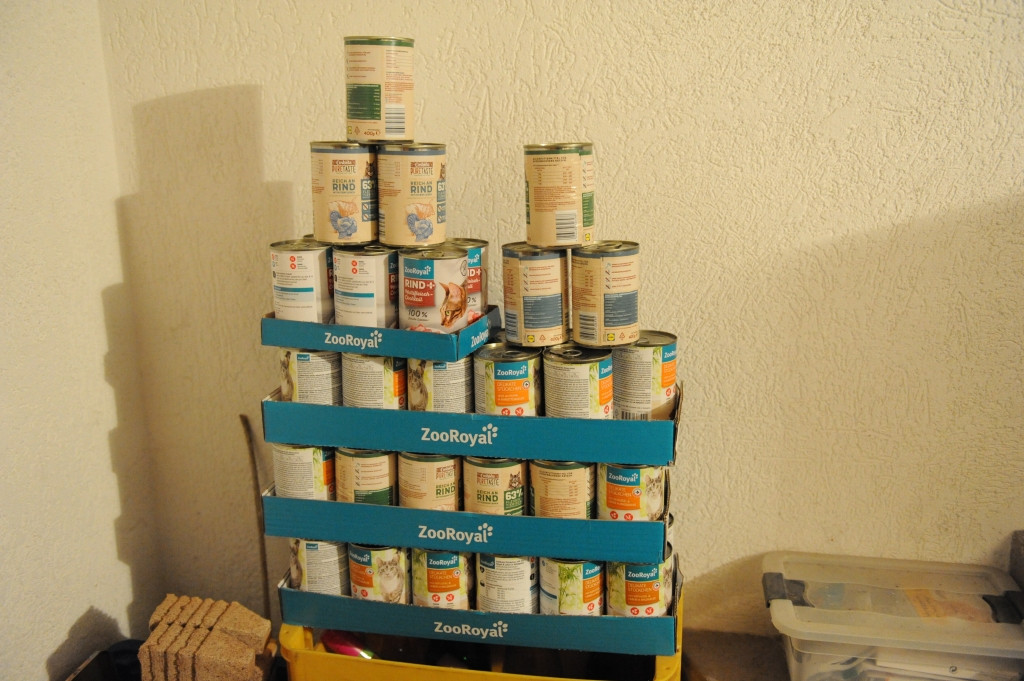 Der Taucher hat nen Kater....