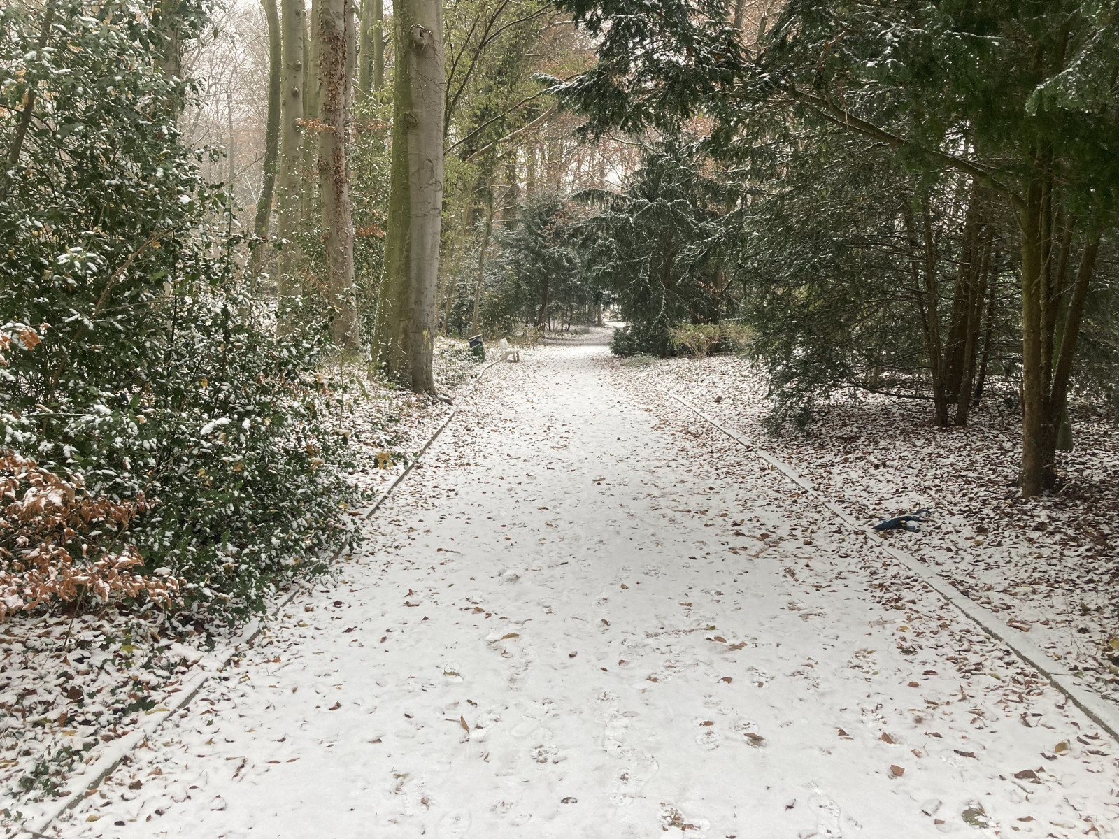 d9cc20d0-0ccf-406e-80d8-d0334c82ecdf