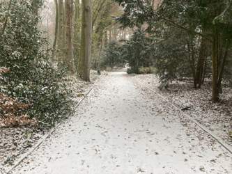 D9cc20d0-0ccf-406e-80d8-d0334c82ecdf