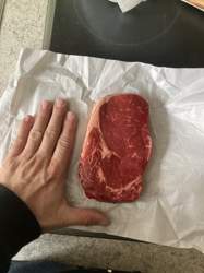 21ba677a-98c2-44bf-bde5-36a1794dcf2a