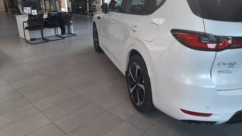 319183830-1299976837514414-9012170121239437871-n