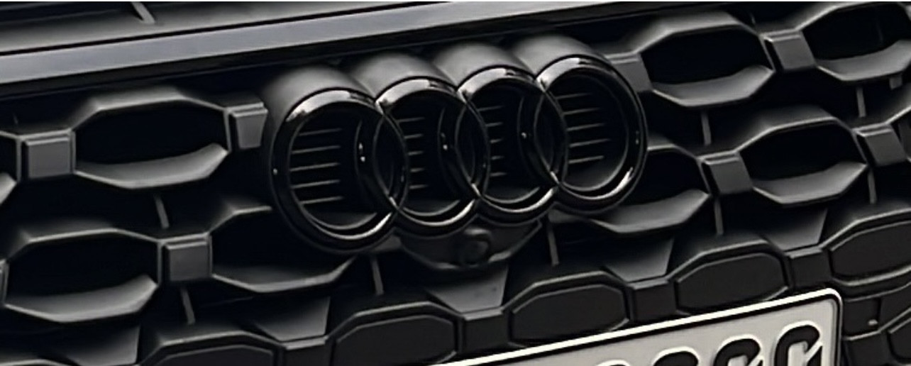 Der große Audi RS3 8Y-Thread