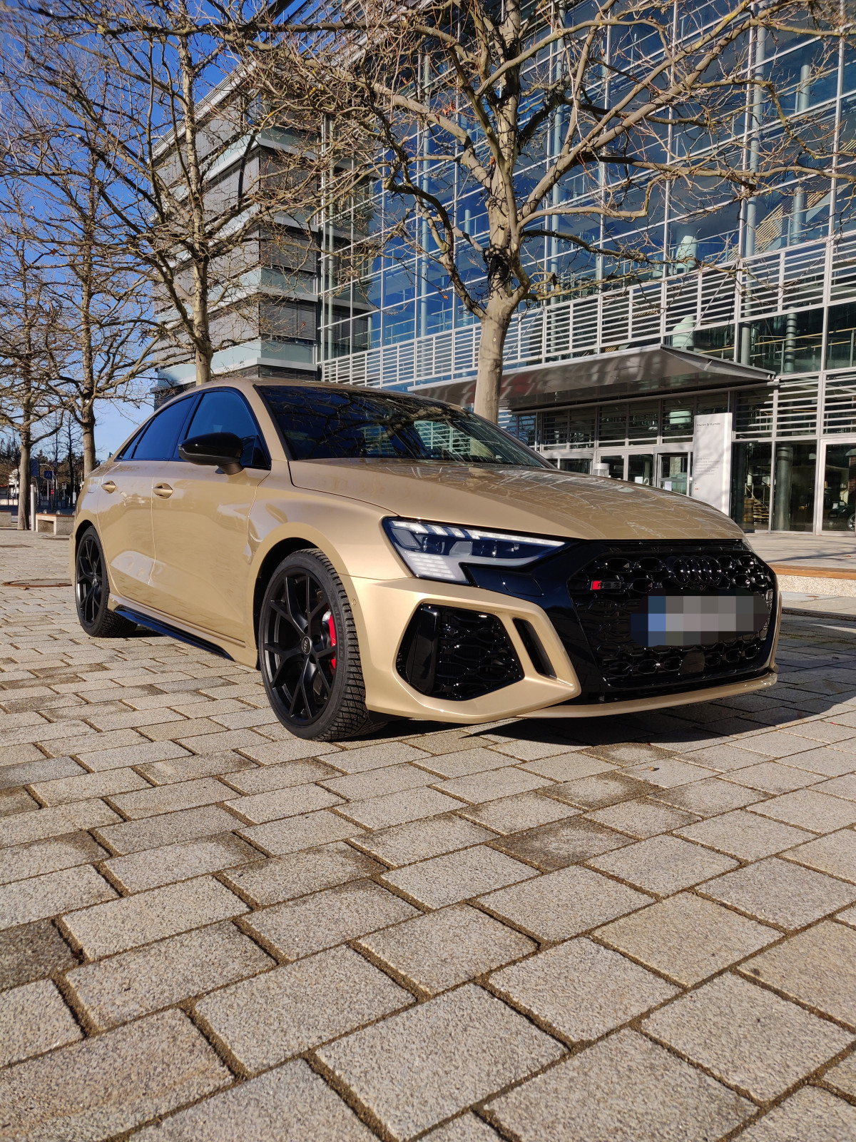 Der große Audi RS3 8Y-Thread