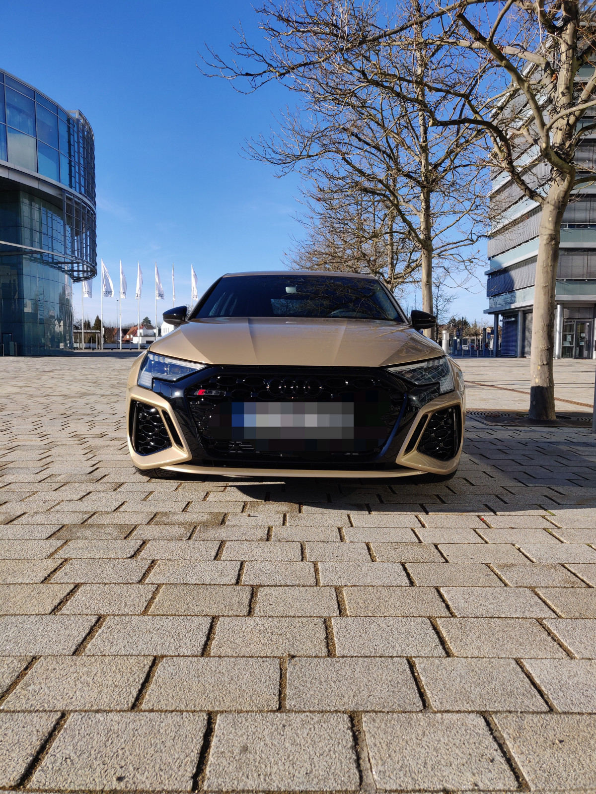 Der große Audi RS3 8Y-Thread