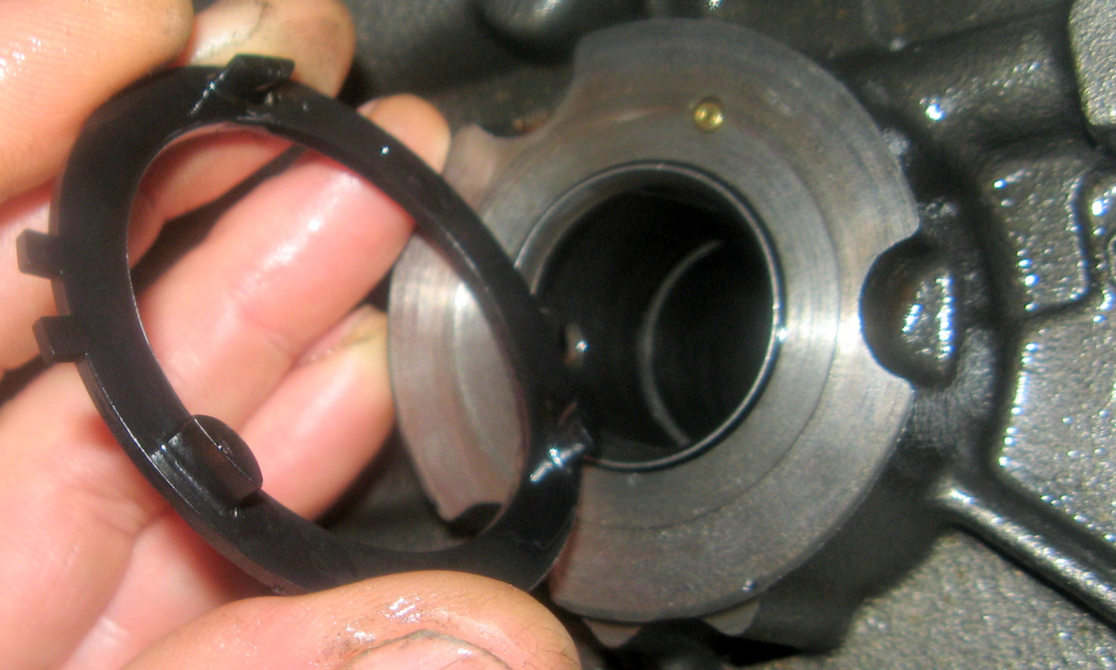 Was habt Ihr heute alles Gutes für Euren Omega & Senator getan?