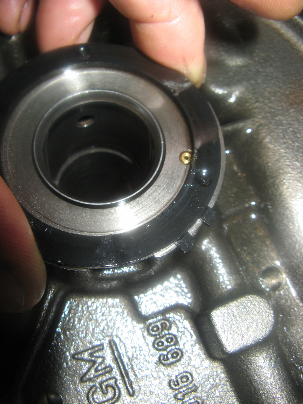 Was habt Ihr heute alles Gutes für Euren Omega & Senator getan?