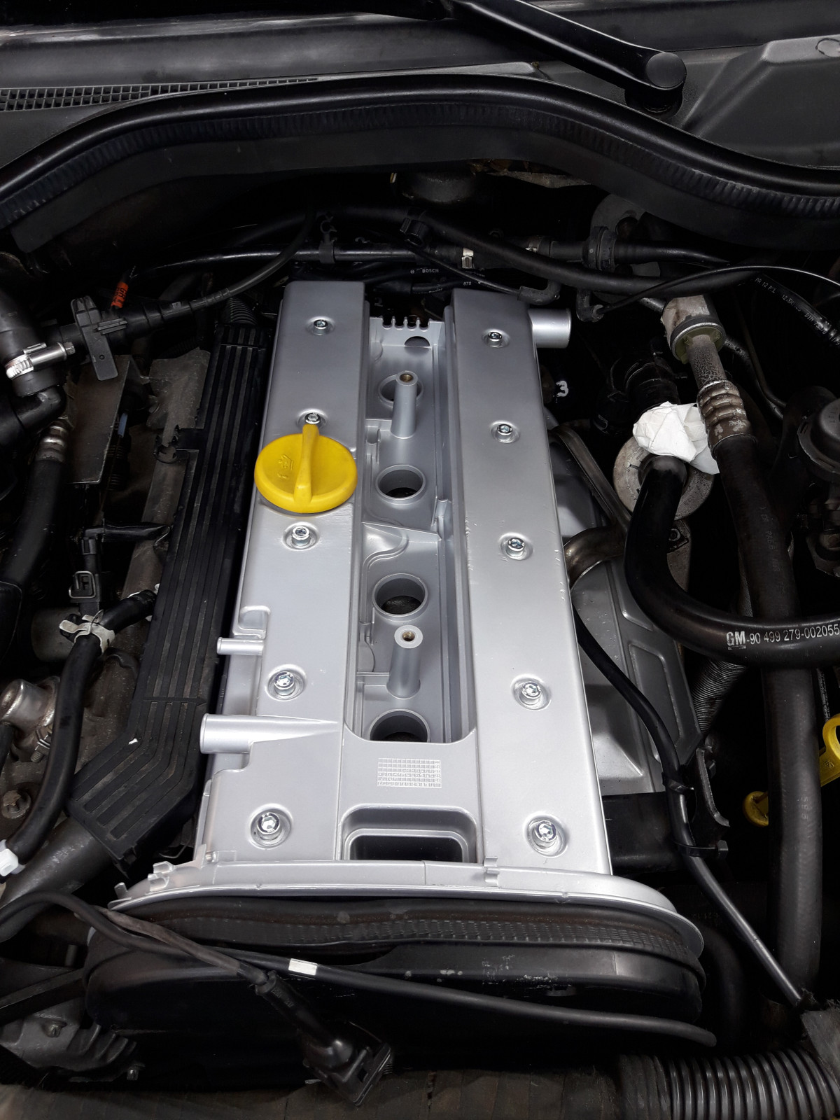 Was habt Ihr heute alles Gutes für Euren Omega & Senator getan?