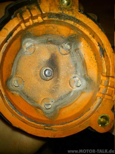 207087474-w988-h1317