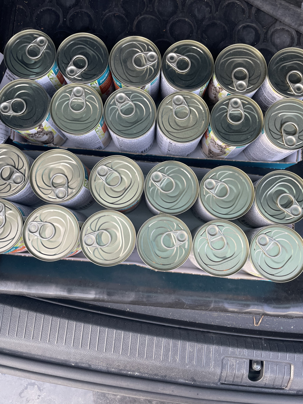 Der Taucher hat nen Kater....