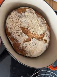 Signal-2023-02-16-112019