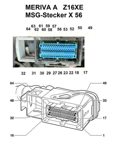 MSG Stecker