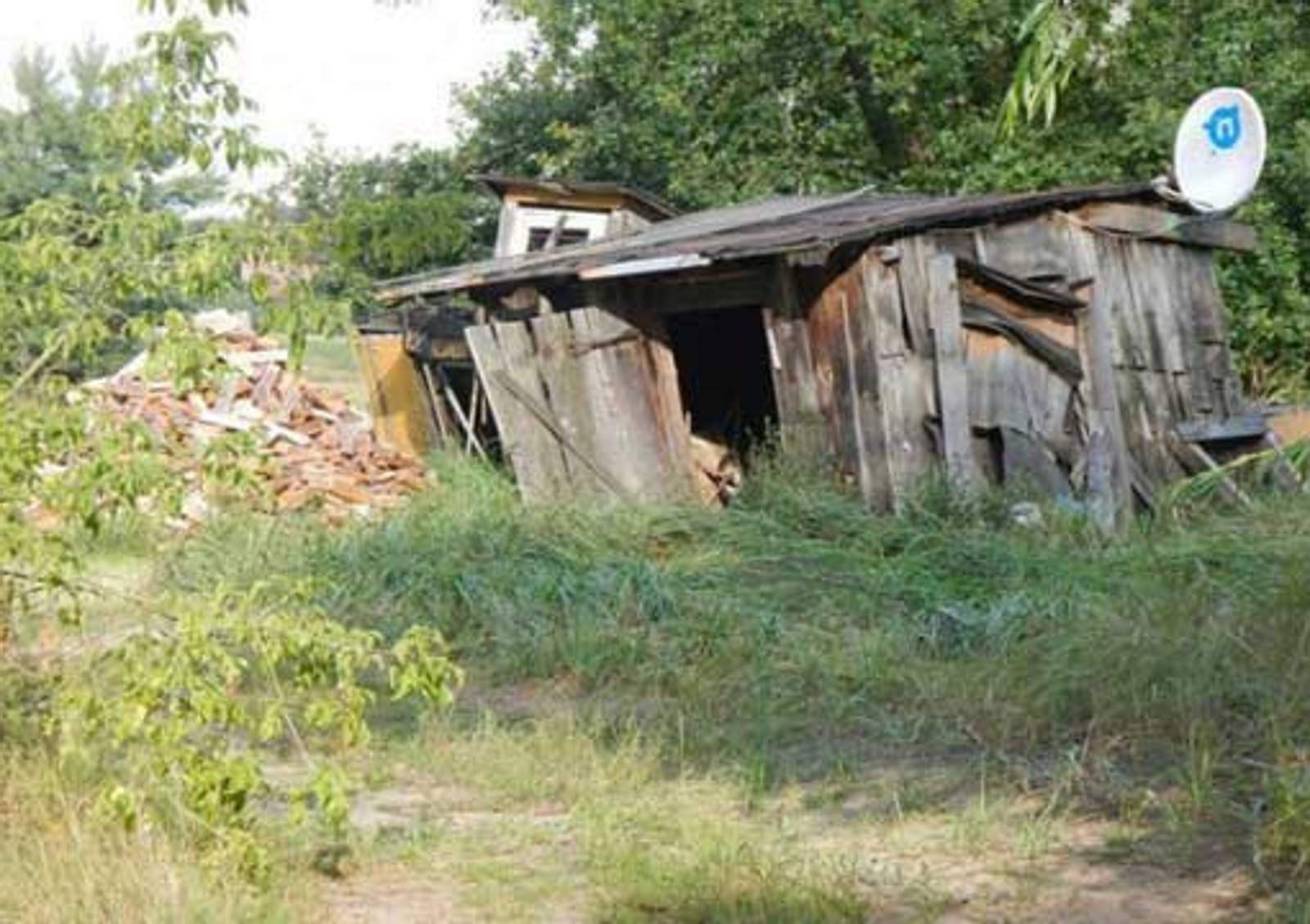 schoener-wohnen-lustig