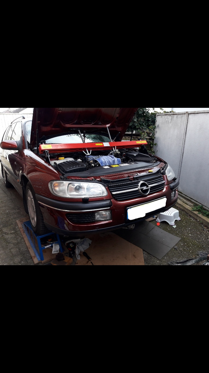 Was habt Ihr heute alles Gutes für Euren Omega & Senator getan?