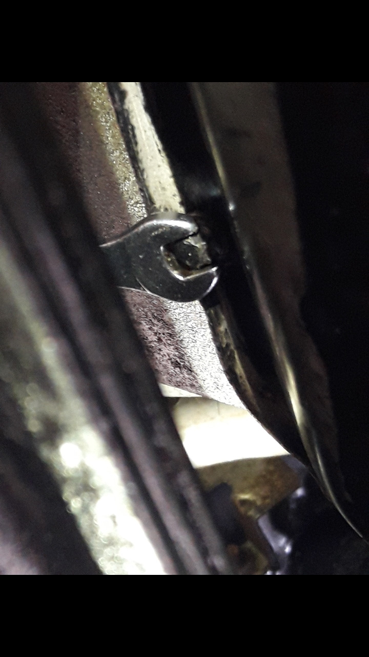 Was habt Ihr heute alles Gutes für Euren Omega & Senator getan?