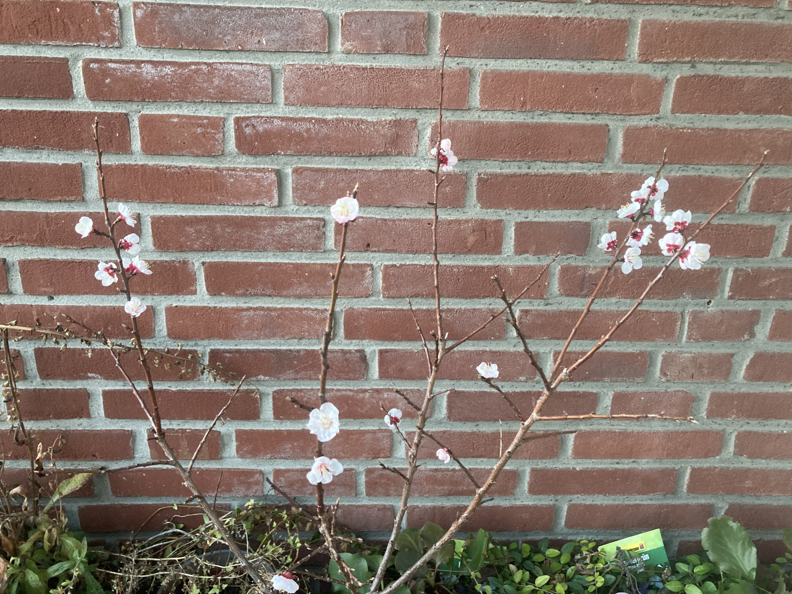 88413901-2149-43f9-8153-357f6b156bda