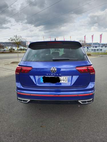 Lapiz blue von hinten