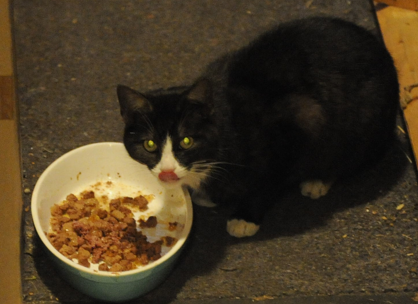 Der Taucher hat nen Kater....