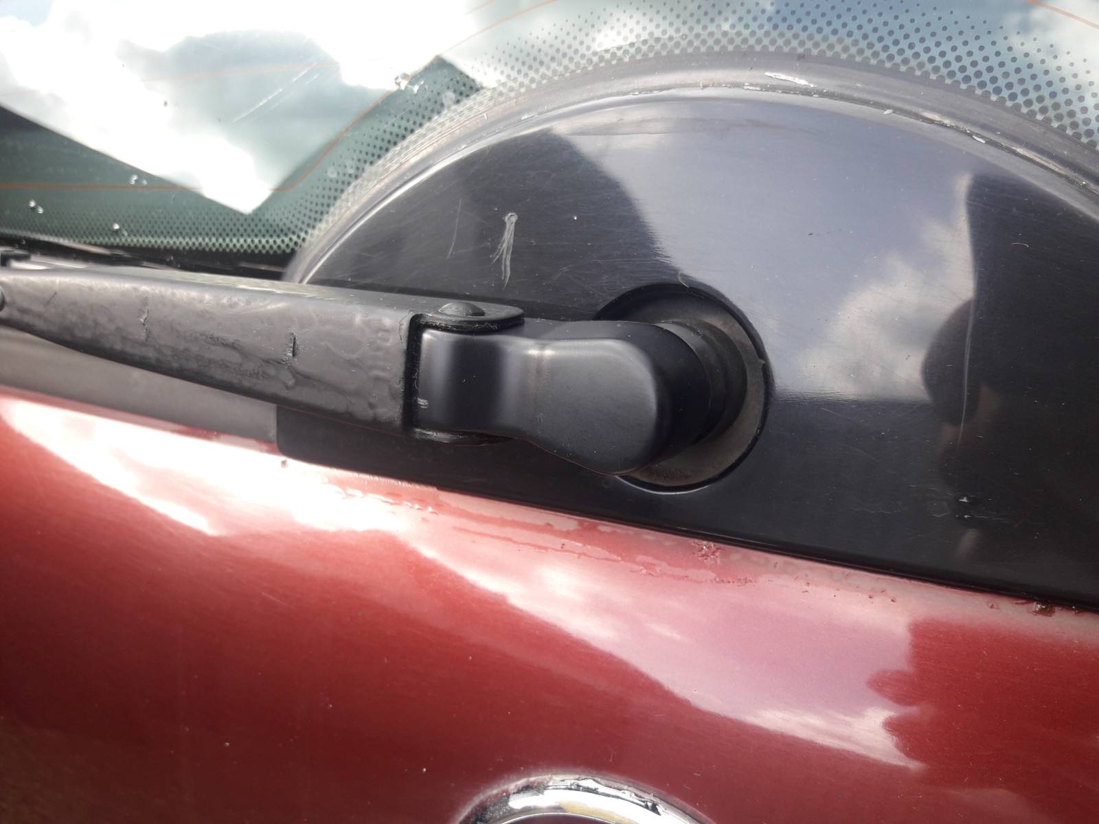 Was habt Ihr heute alles Gutes für Euren Omega & Senator getan?