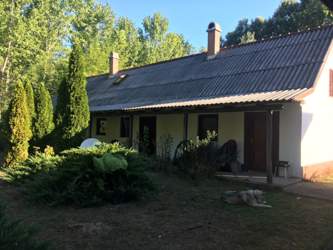 Freiheit pur in der ungarischen Puszta