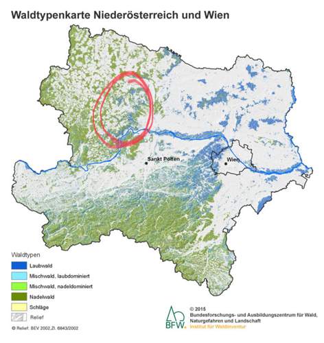 Quelle: http://bfw.ac.at/waldzahlen/inde